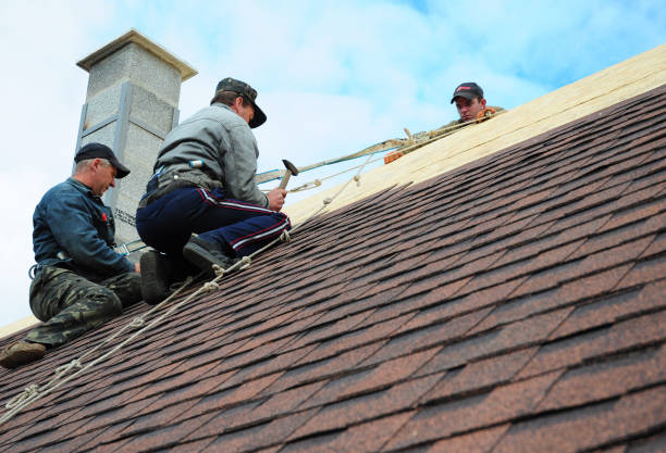 Best Gutter Installation and Roofing  in Fallston, MD
